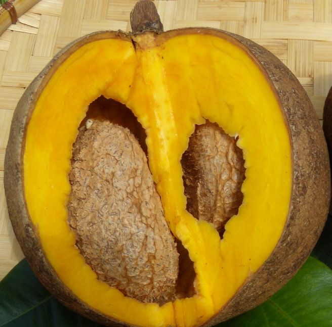 Polynesian Produce Stand MAMEY APPLE Mammea americana RARE FRUIT